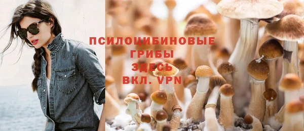 мдма Корсаков