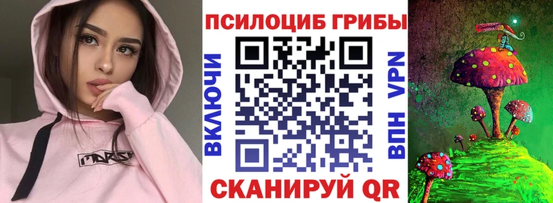 купить   Кузнецк  Псилоцибиновые грибы GOLDEN TEACHER 