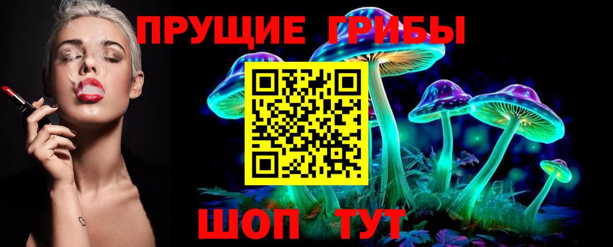 где продают   Галлюциногенные грибы мицелий  Вход с VPN  Кузнецк 
